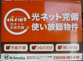 16/19 その他画像