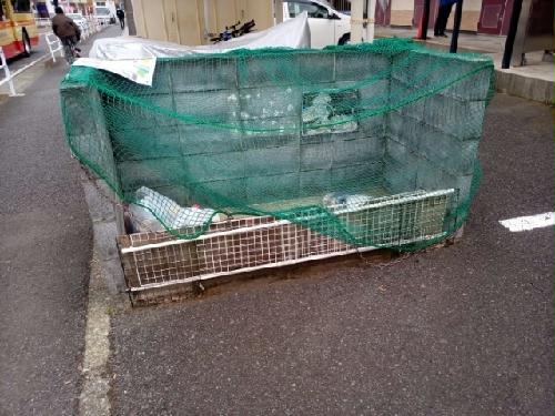 13/14 その他画像