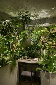 16/18 その他画像