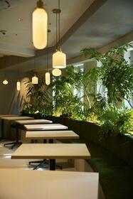 4/18 その他画像