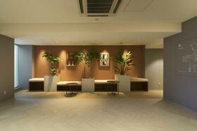 5/18 その他画像