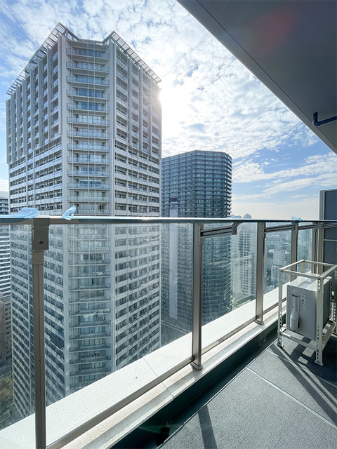 12/22 バルコニー