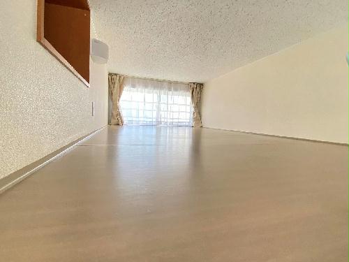 11/14 その他画像