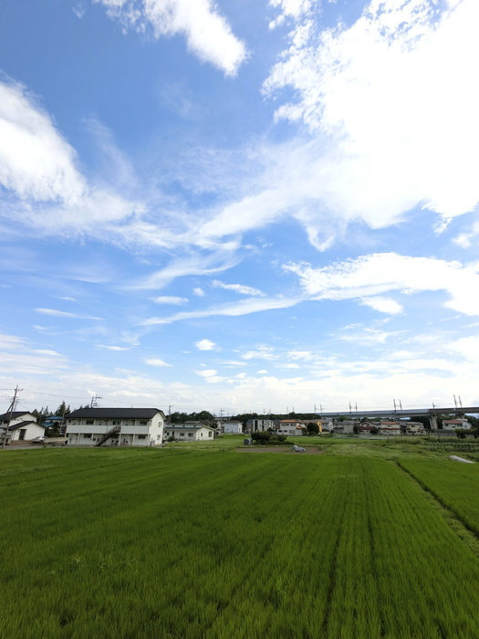 14/19 その他画像