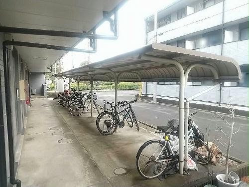 8/13 その他画像