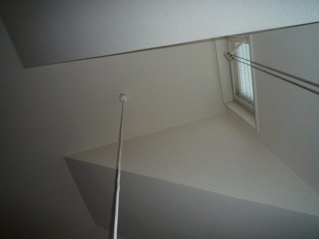 11/16 その他画像