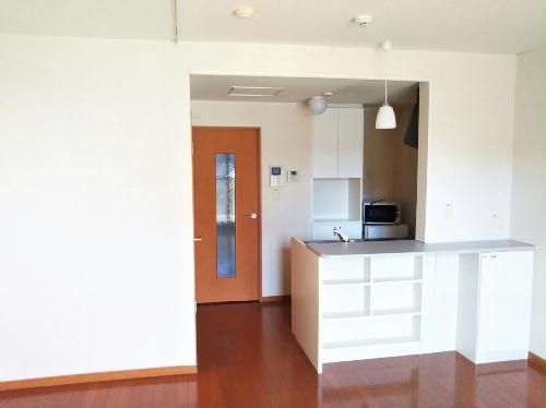 8/14 その他画像