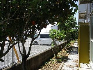 11/14 その他画像