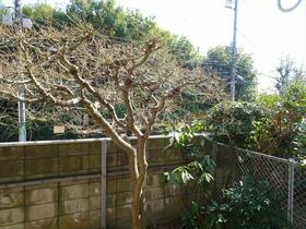 15/16 その他画像