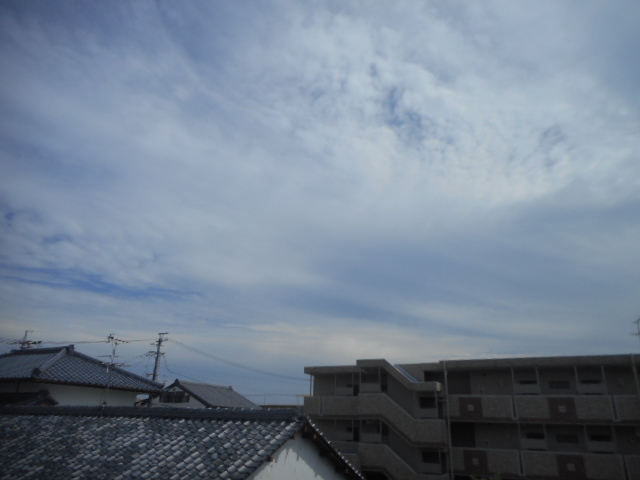 16/23 その他画像