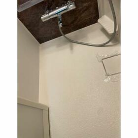 11/11 その他画像