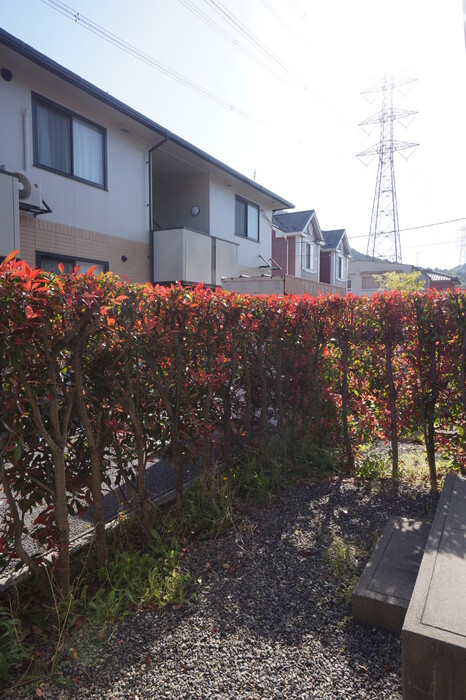 11/21 バルコニー