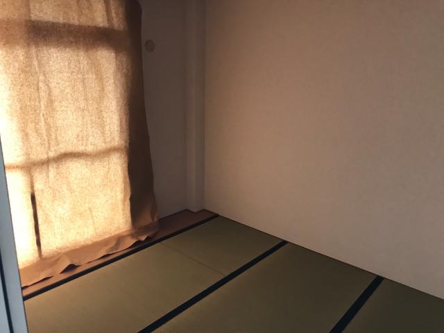 10/29 室内