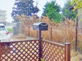 16/23 その他画像