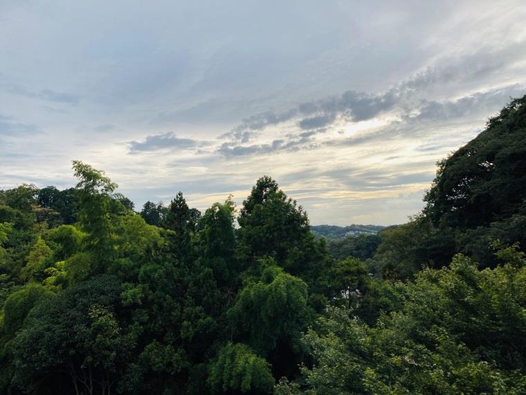 16/17 その他画像