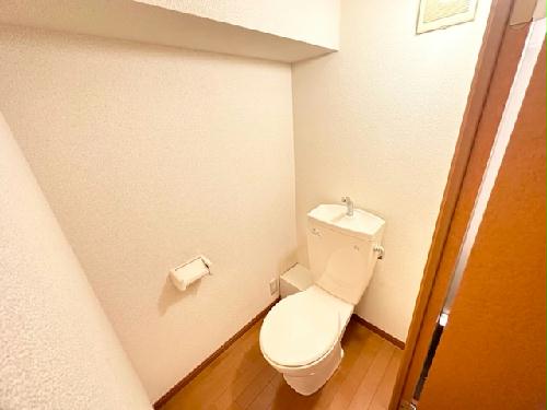 11/14 その他画像