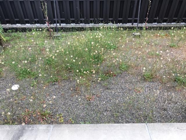 19/22 その他画像