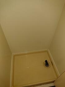 11/11 その他画像