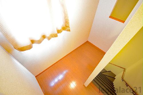 7/14 その他画像