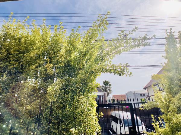 25/29 その他画像