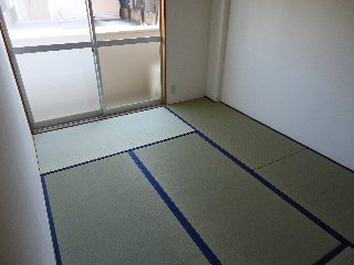 6/29 室内
