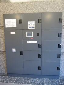 15/16 その他画像