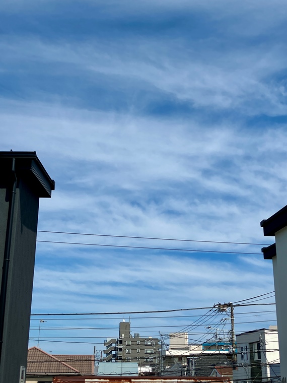 15/19 その他画像