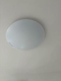 7/12 その他画像