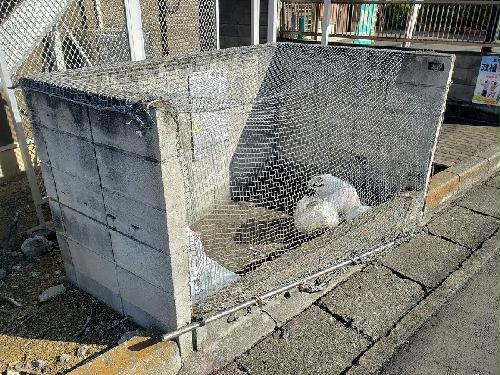 8/13 その他画像