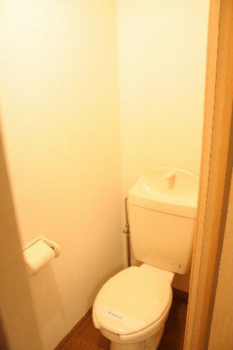 5/19 その他画像