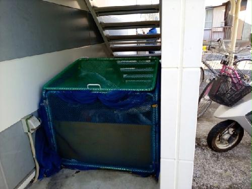 11/14 その他画像