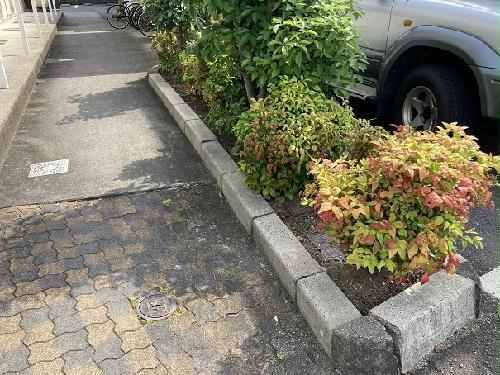 11/14 その他画像