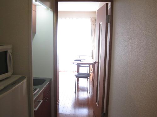 13/19 その他画像