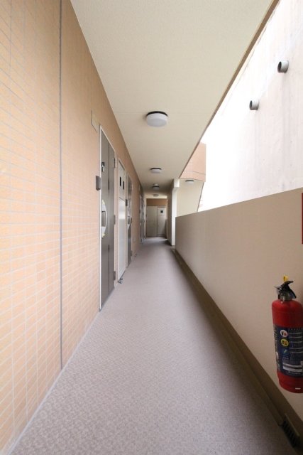 20/26 その他画像