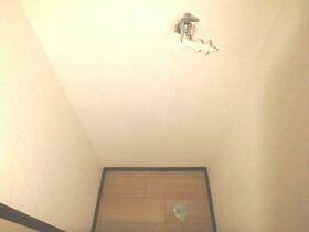 13/16 その他画像