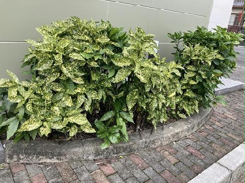 14/22 その他画像