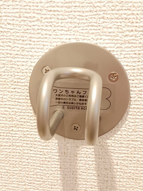 11/20 その他画像