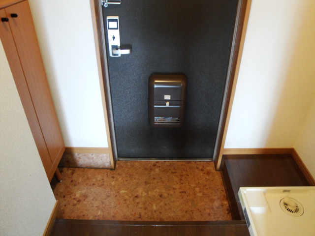 20/30 その他画像