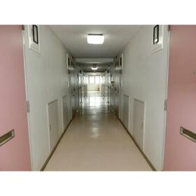 11/16 その他画像