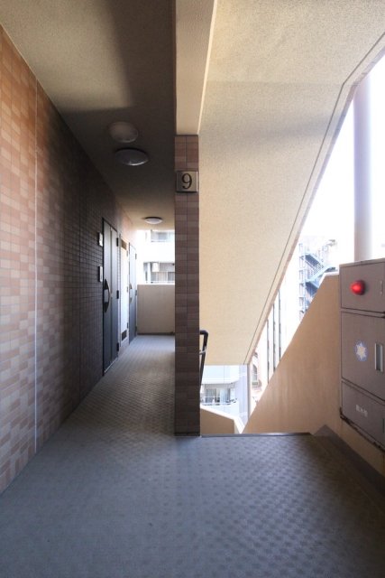 16/24 その他画像