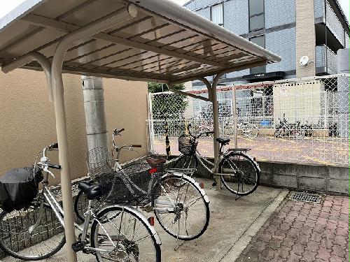 11/23 その他画像