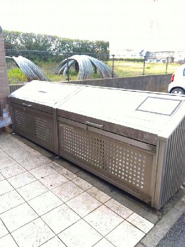 11/15 その他画像