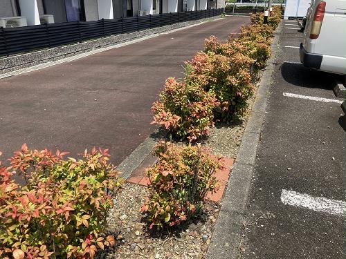 13/16 その他画像