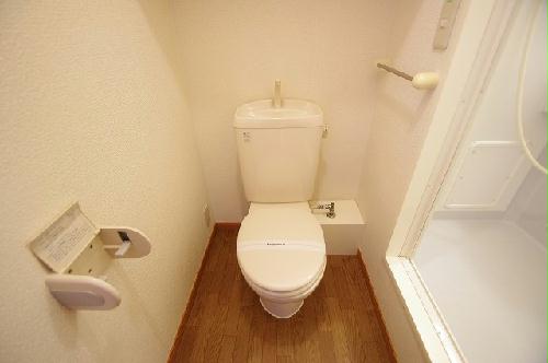 8/18 その他画像