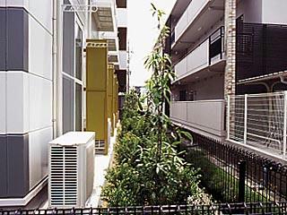 11/18 その他画像