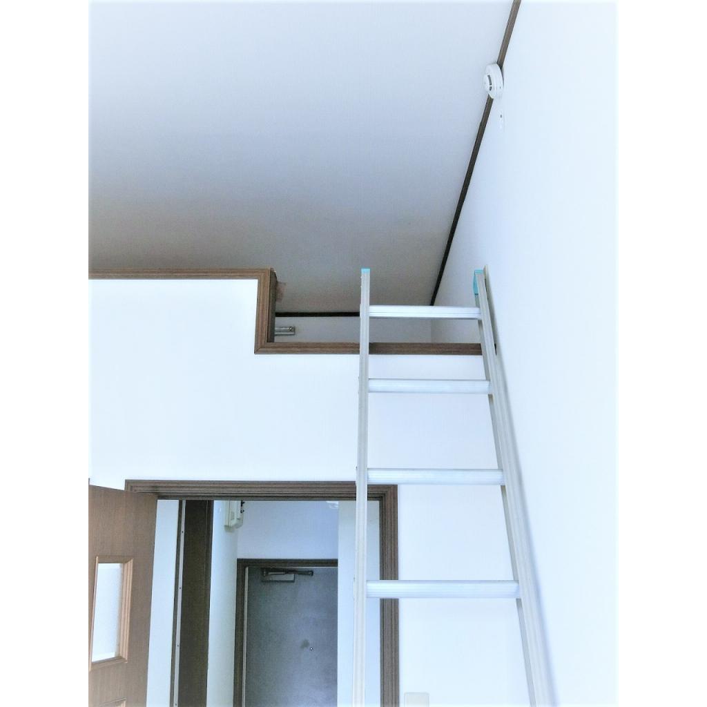 11/24 その他画像