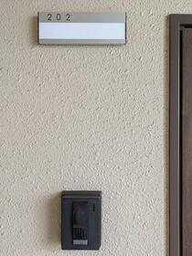 3/16 その他画像