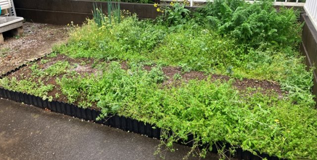 15/18 その他画像