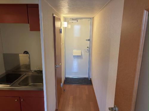 11/14 その他画像