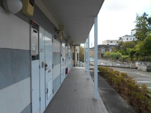 11/14 その他画像